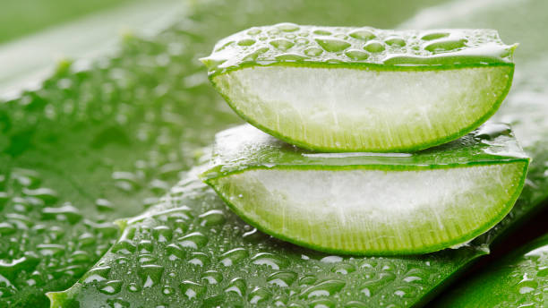 Aloe Vera : comment le consommer sans risques ?